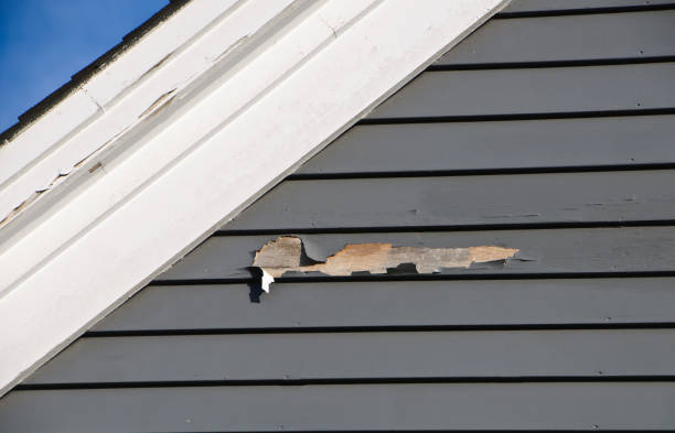  Bayonet Point, FL Siding Installation Pros